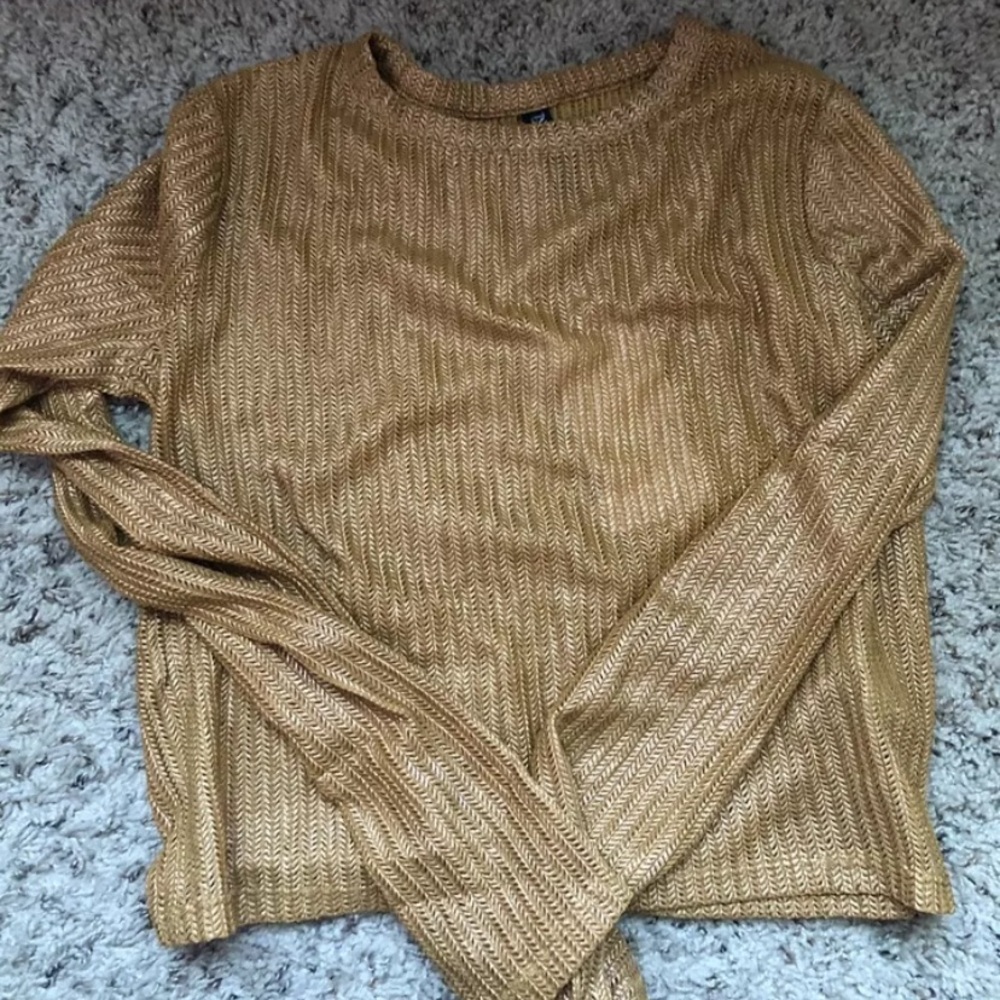 Zara Shimmer Cropped L/S Top